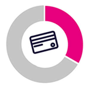 30% for paying off debts Pie chart illustating that 30% of equity release lump sums are used for paying off outstanding debts/mortgages