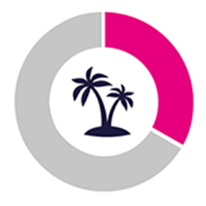 32% for holidays Pie chart illustating that 32% of equity release lump sums are used for holidays