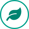 green-revenues-border green-revenues-border