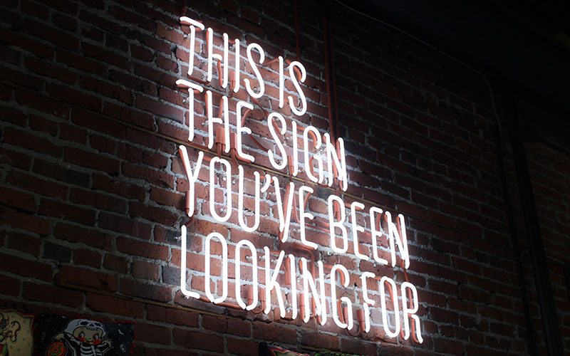 A white neon sign on bricks that reads "This is the sign you've been looking for"v