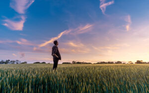 A man standing in a field and looking out at the sunset, a deep blue and pink sky sits behind him.