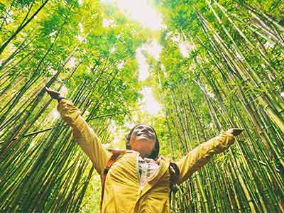 girl-in-bamboo-forest-400x300 A girl wearing a yellow coat, celebrating in a bamboo forest