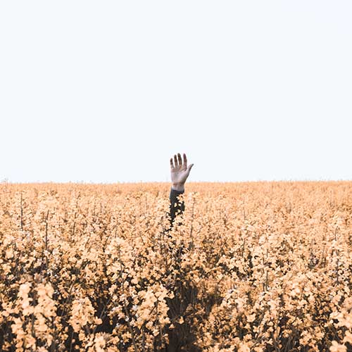 Help, I'm lost - A lone hand raised up in a field