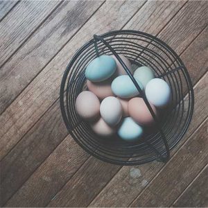 A basket full of eggs
