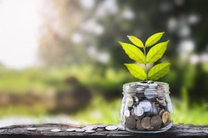 Small plant growing out of a jar of money