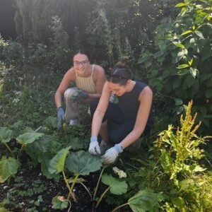 OneFmaily staff helping out at Stanmer Community Garden