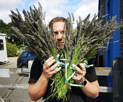 Raystede_David_500x416 David holding up bunches of lavender