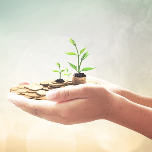Pair of hands holding money with plants growing out of it