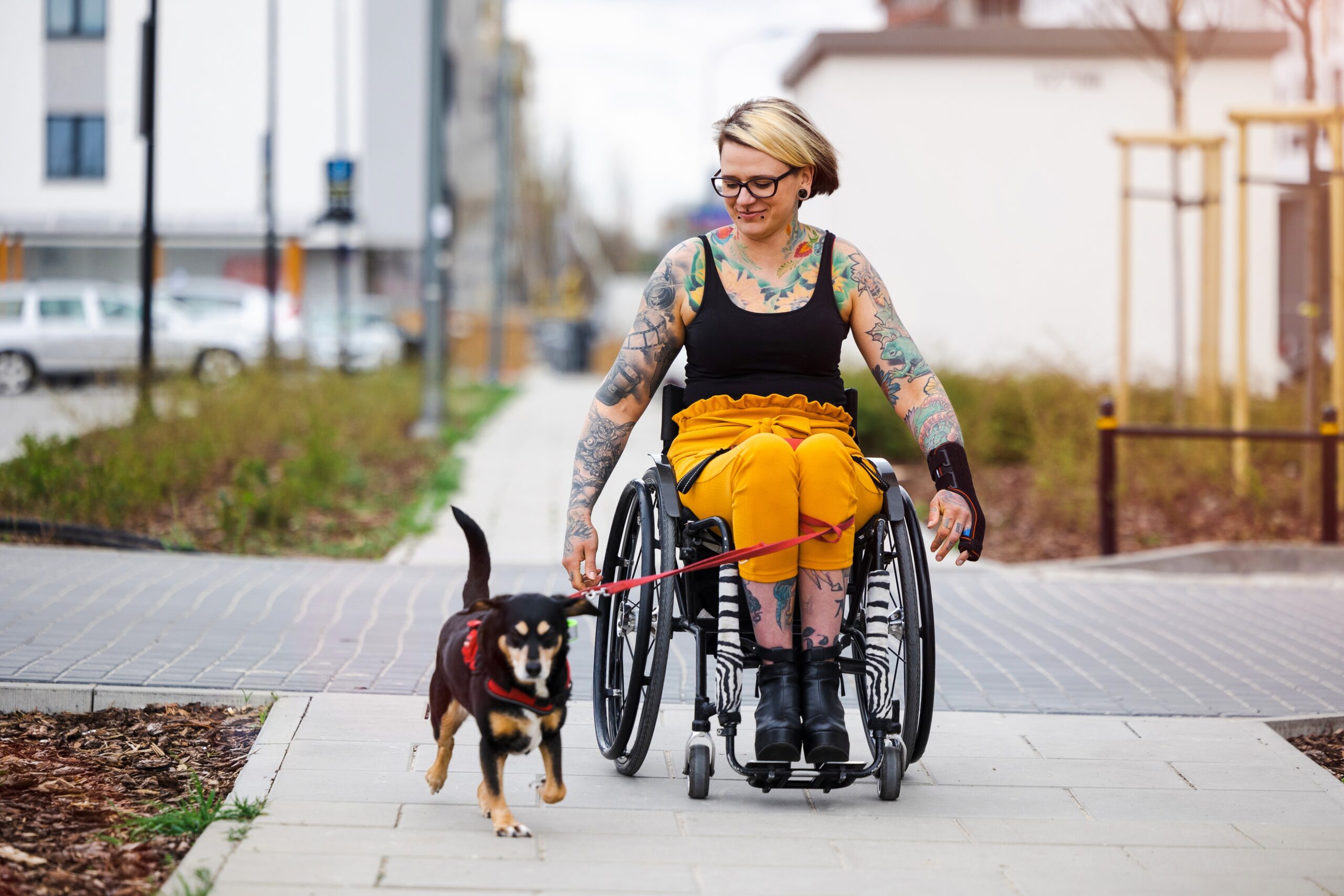 Woman,In,Wheelchair,With,Her,Dog,Outdoors Woman,In,Wheelchair,With,Her,Dog,Outdoors