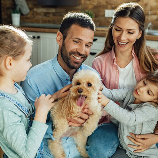 family-bond-family Family Bond