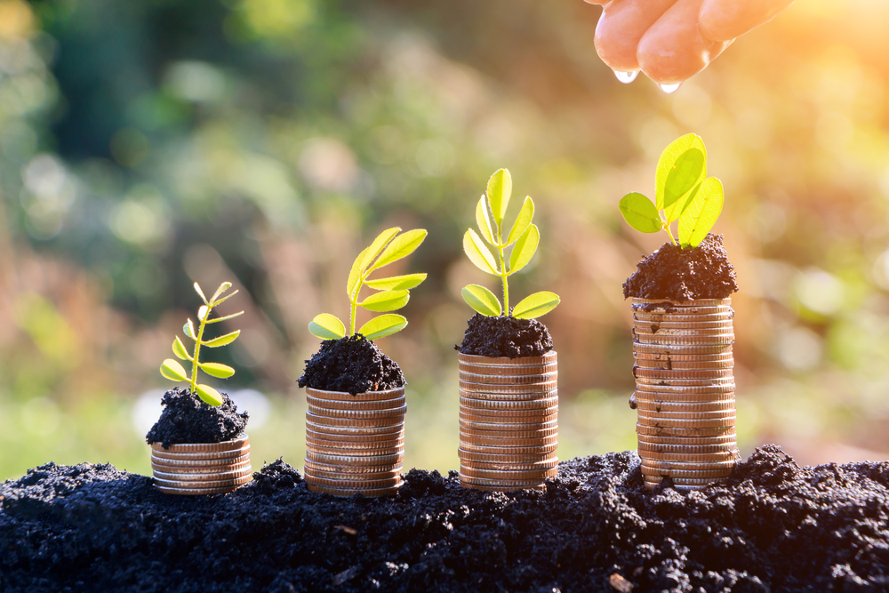 Four growing piles of coins sit on a bed of soil, with plants sprouting from the top of each pile.
