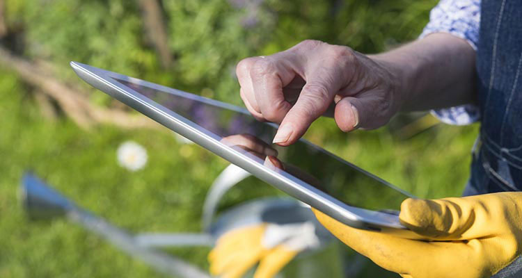Close-up of someone scrolling on an iPad in the garden.