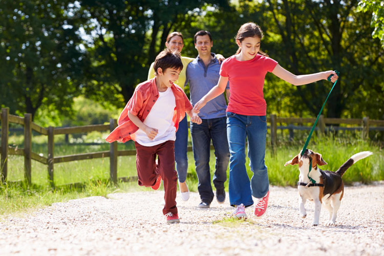 A brother and sister run ahead with a dog on a country path while their parents stroll behind them.